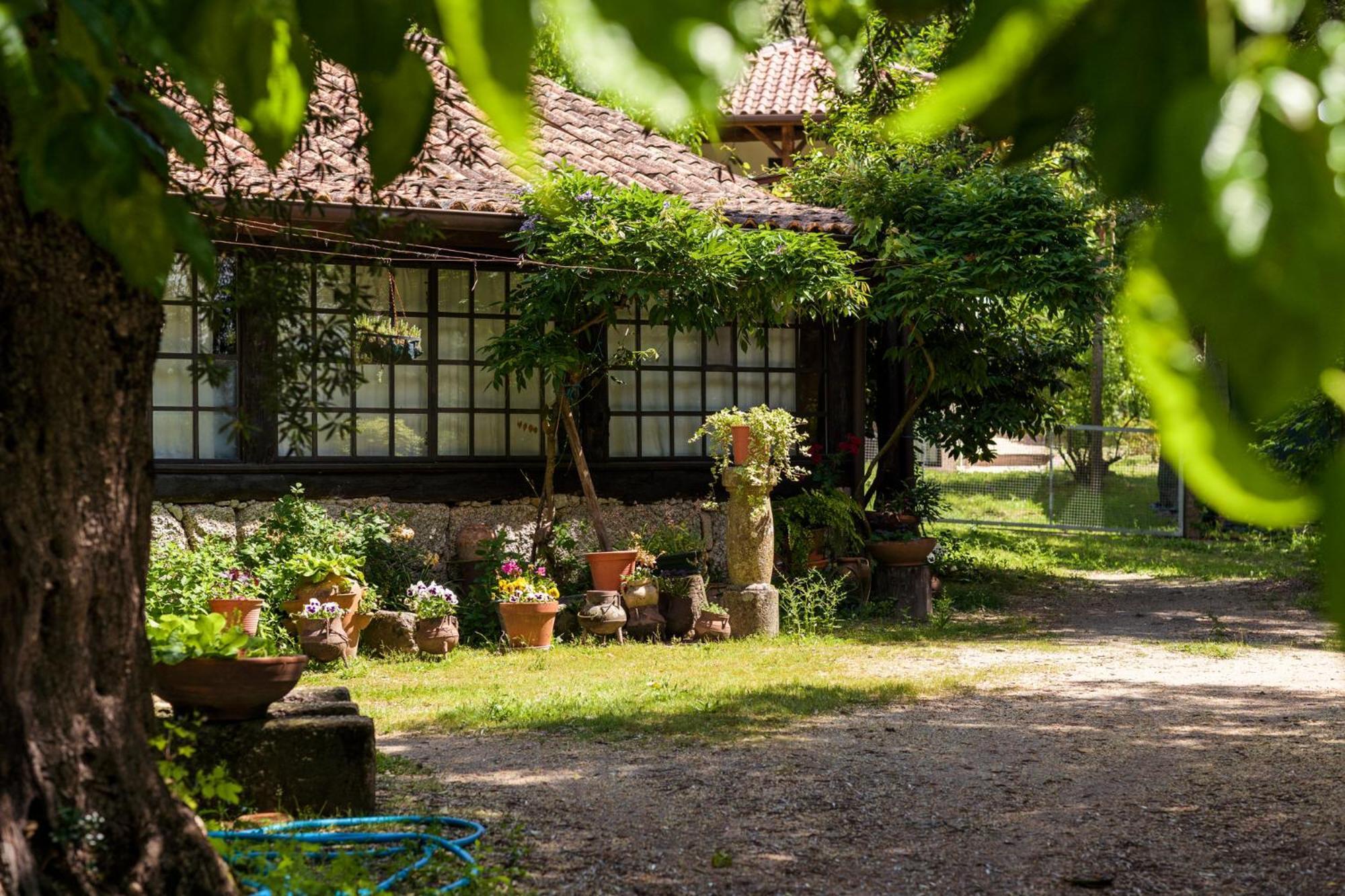 Chale Da Quinta "Lavoura Da Bouca - Fruta Bio" Guest House Celorico De Basto Exterior photo