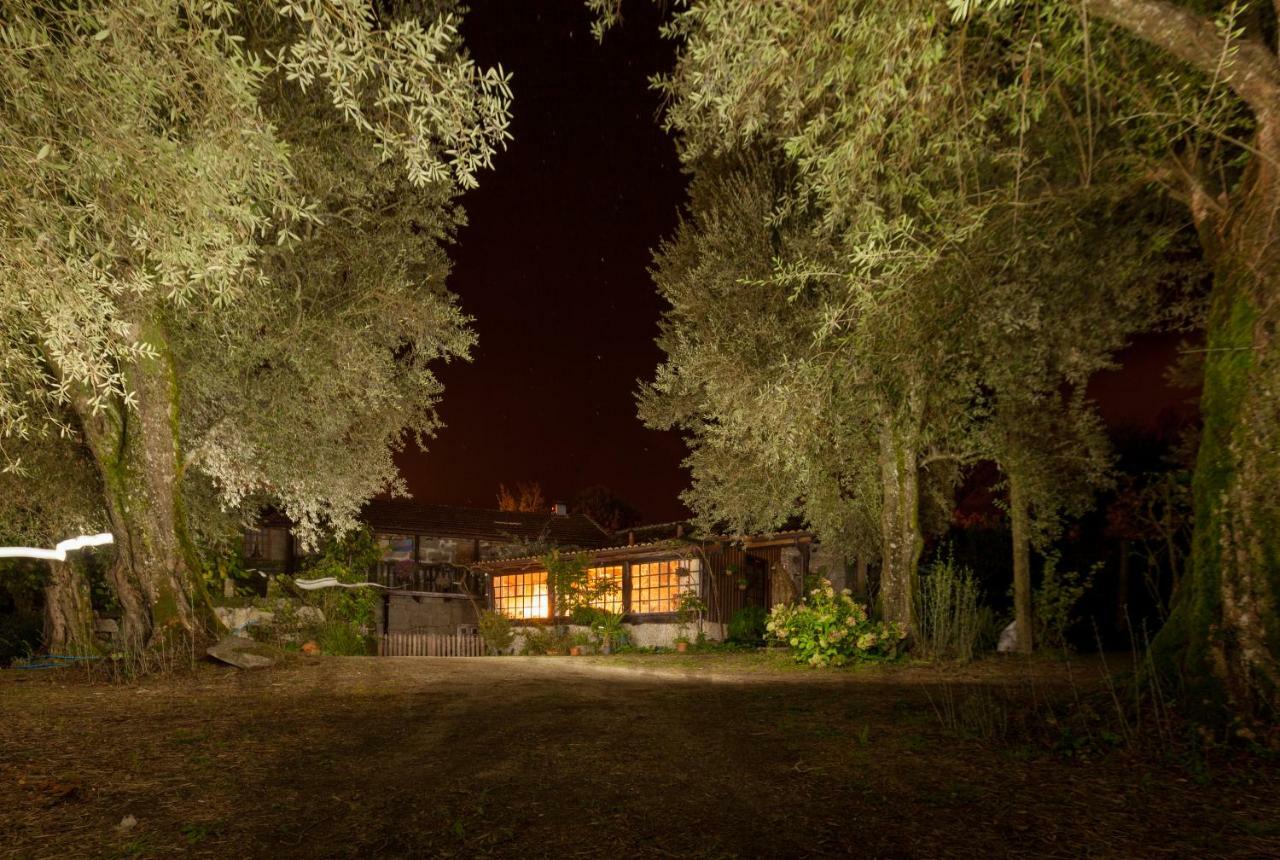 Chale Da Quinta "Lavoura Da Bouca - Fruta Bio" Guest House Celorico De Basto Exterior photo